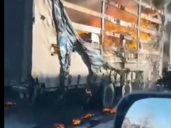 Под Тамбовом загорелся прицеп груженой фуры