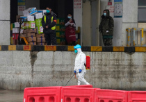 Прибывшая в Китай группа экспертов из Всемирной организации здравоохранения (ВОЗ), продолжает расследование причин происхождения пандемии COVID-19