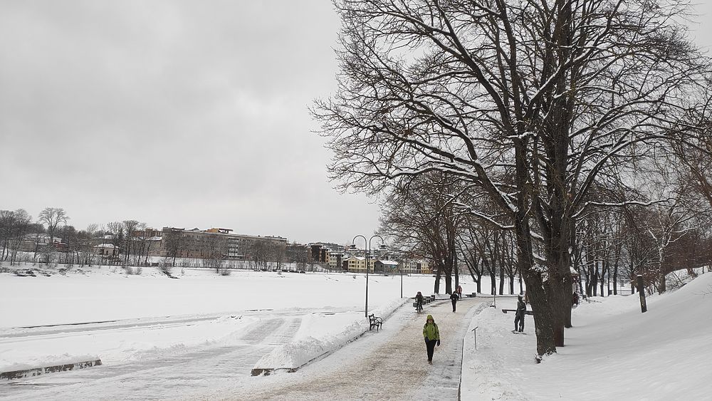 И выпал снег опять внезапно: как в Пскове обстоят дела с уборкой улиц