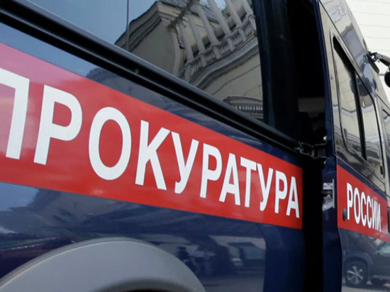 Прокуратура начала проверку избиения младенца 39-летним дедом под Новосибирском