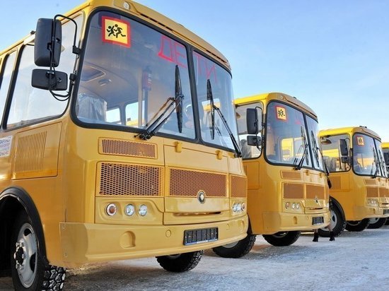 В Чувашии водителей школьных автобусов накажут за посторонние предметы в салоне
