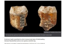Археологи и антропологи повторно изучили найденные зубы древних людей
