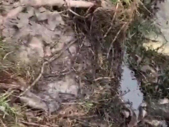 В реке в Новороссийске жители заметили мутную жидкость