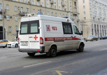 Две подружки-студентки  были обнаружены мертвыми во вторник днем в квартире одного из городов на юге Подмосковья