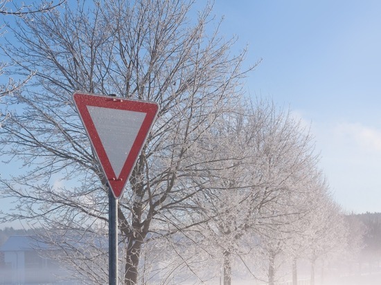 4 февраля столбики термометров в Брянске поднимутся выше нуля