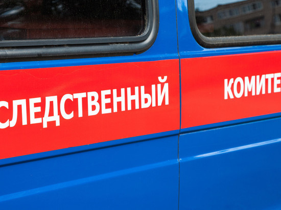 Следственный комитет займется дракой школьников в Новосибирске