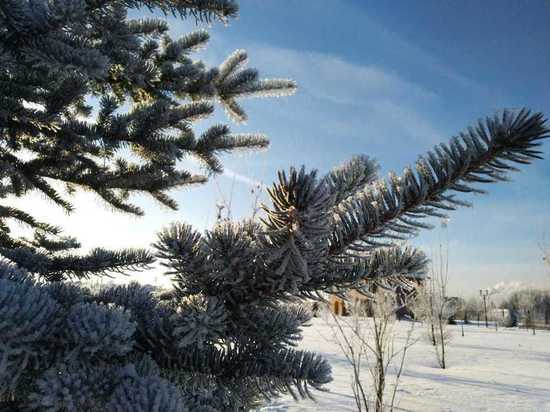 Гидрометцентр предупредил о 26-градусных морозах в центральной России