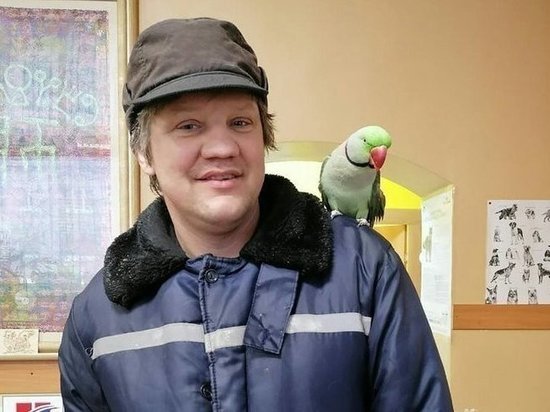Улетевший из ветклиники в Рязани говорящий попугай погиб