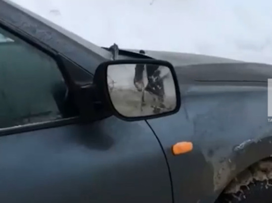 В Казани легковушка протаранила шесть машин на парковке и скрылась