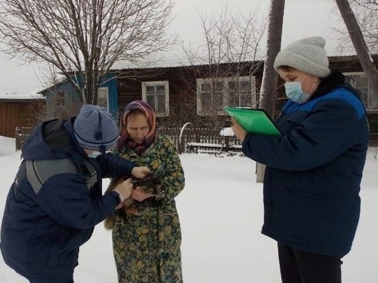 В Костромской области домашних животных бесплатно прививают от бешенства