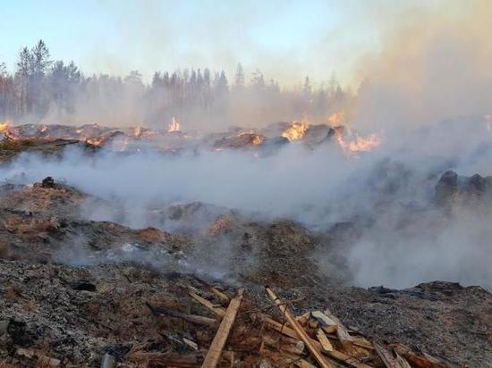 Работу лесопилки возле Богучан приостановили из-за сжигания отходов