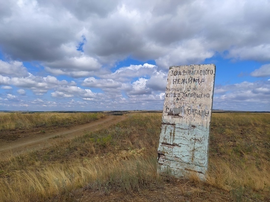 В заповедной зоне ДНР нашли растение из эпохи динозавров