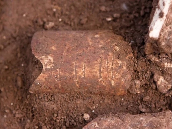 В Израиле нашли орнамент, оставленный человеком 120 тысяч лет назад