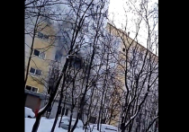Две сестры 4 и 5 лет погибли в результате пожара в поселке Мосренгтен (Новая Москва) днём в субботу