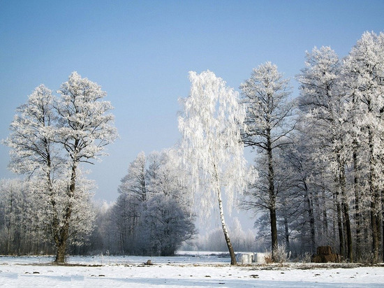В ЛНР жертвами мороза стали 2 человека