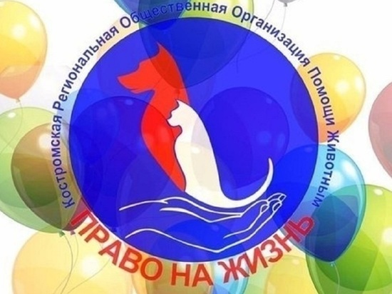 Костромской приют «Право на жизнь» ищет 230 тыс рублей, чтобы избежать закрытия