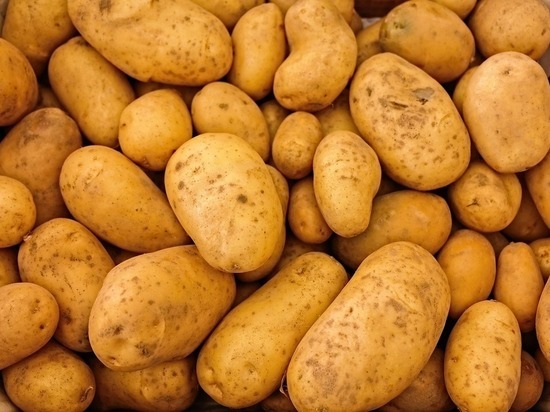 20 тонн картофеля не доехали до Петербурга из Псковской области