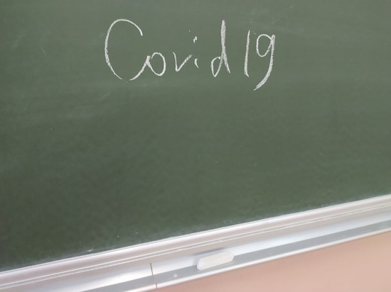 В 38 школах Тульской области выявлен коронавирус