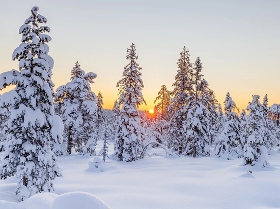 Погода на Смоленщине 9 февраля: время щипать лучину