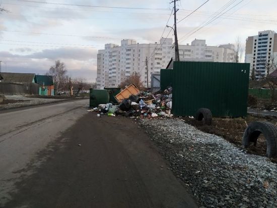 Омский мусорный оператор подключит к взысканию долгов "коллекторов"