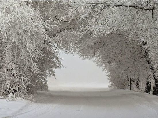 В Тверской области слишком долго убирали снег с дорог между школами