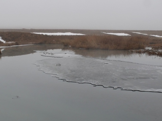 Калмыцкое предприятие сбрасывало в реку неочищенные сточные воды