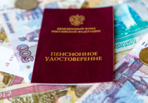 Существенно поднять пенсии россиян можно за счет оптимизации расходов и отмены налоговых льгот