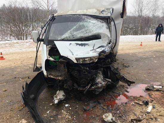 В ДТП с участием двух грузовиков в Касимовском районе пострадали оба водителя