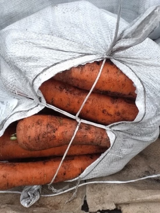 20,6 тонн моркови не пропустили через границу Псковской области