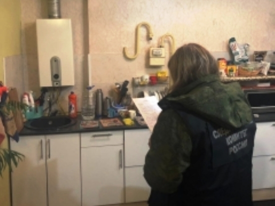 Следователи в Узловой организовали проверку по факту отравления детей угарным газом