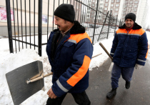 Без трудовых мигрантов российские аграрии не справятся