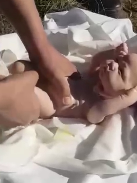 Дагестанцу подложили кукол вместо тел новорожденных для захоронения