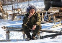 Почему этой зимой нашествие волков стало настоящей бедой для оленеводов Каларского округа, и как защитить живой символ российского Севера, разобрался «МК в Чите»