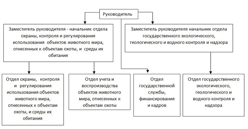 Контроль использования и охраны вод схема