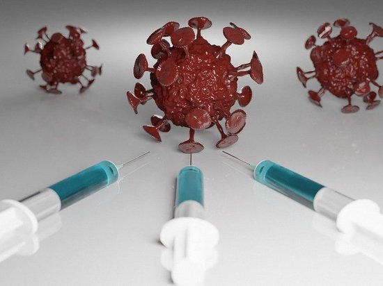 В ВОЗ не видят предпосылок для новой волны пандемии коронавируса