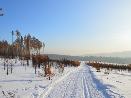 Осипов поручил за ночь расчистить от снега магистрали Забайкалья
