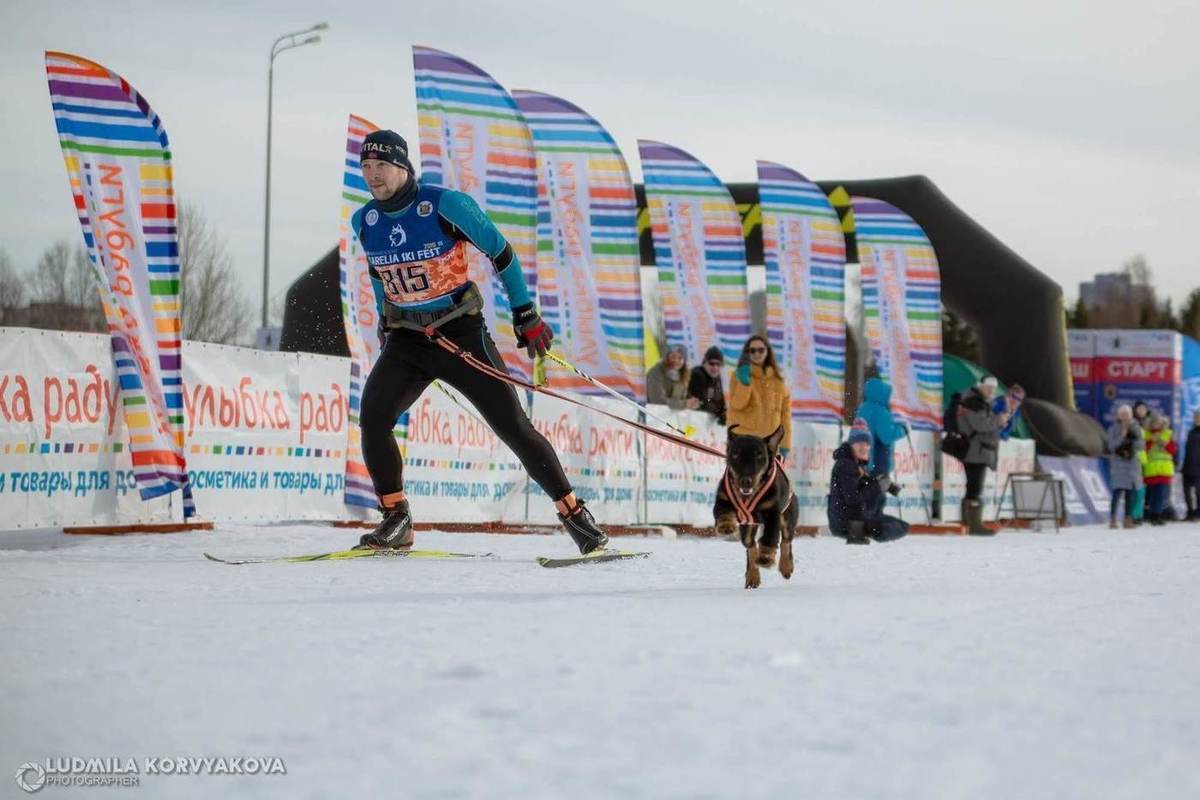 Фестиваль зимних видов спорта