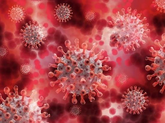 Восемь новых случаев коронавируса на Колыме: ситуация стабилизируется