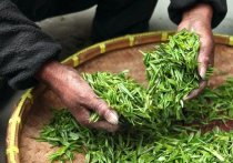 Проведенное научное исследование позволит создать новые лекарства для борьбы с заболеванием