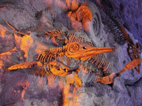 Ученые обнаружили новый древний вид рептилии