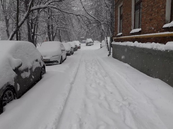 Ночью Кострому засыпало снегом