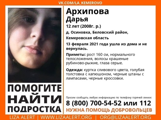 Девочка с рубиново-рыжими волосами пропала в Кузбассе