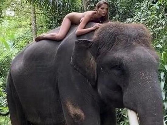 Дочь теннисиста Кафельникова снялась обнаженной верхом на слоне