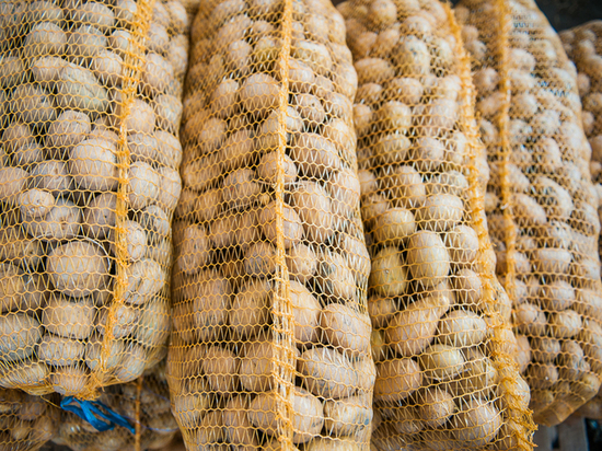 В Астраханской области может появиться завод по производству картофеля фри