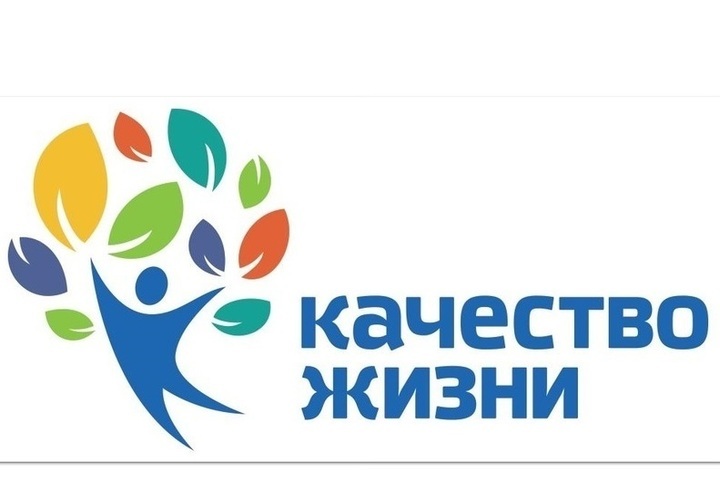 Качество жизни социальный проект