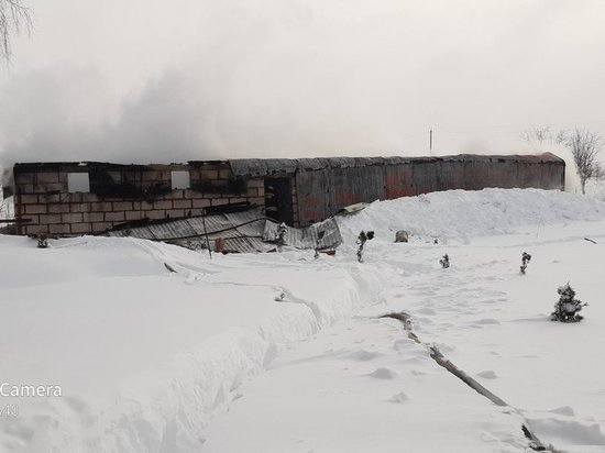 В Калужской области на пожаре сгорело 40 коз