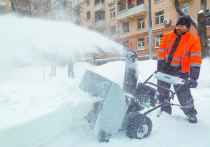 Раскопать автомобиль или срочно доставить лопату - из-за снегопада в Москве появились необычные предложения