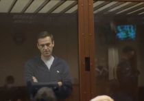 Суд над Алексеем Навальным по клевете на ветерана Великой Отечественной Игната Артеменко продолжается 16 февраля в Бабушкинском суде Москвы