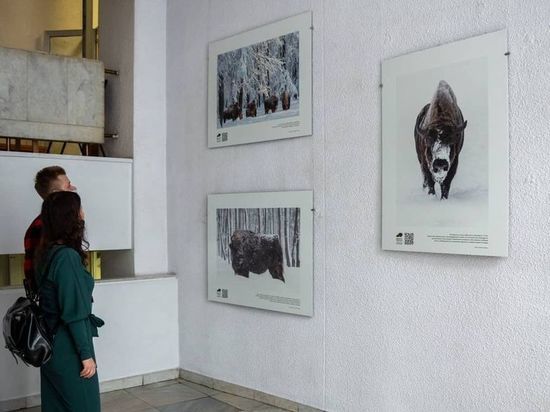 В Москве открылась фотовыставка Серпуховского заповедника