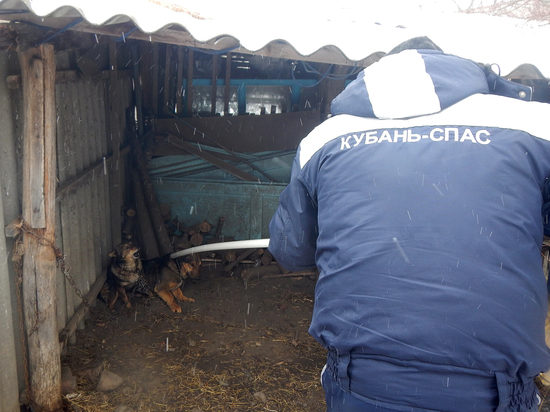 На Кубани пенсионерка не могла попасть домой из-за чужой собаки